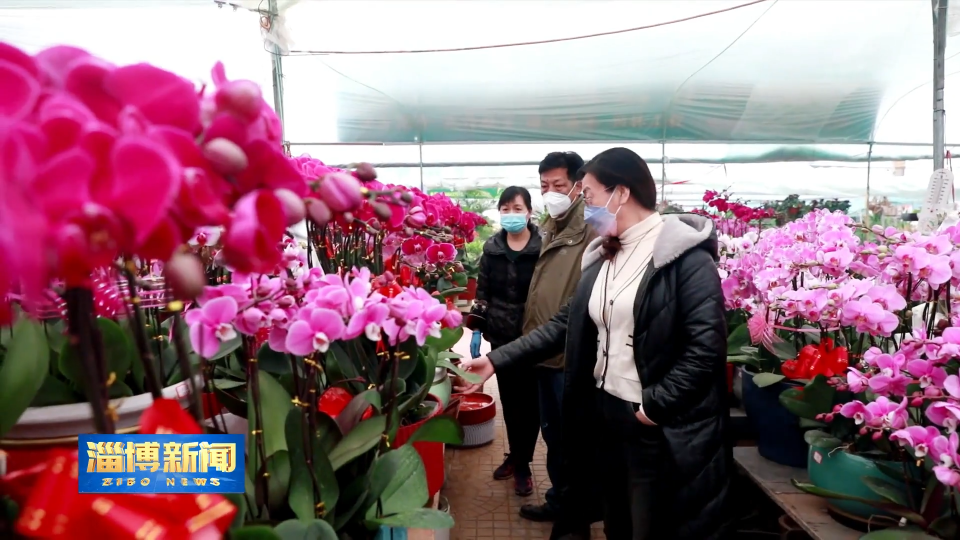 【淄博新闻】【新春走基层】花香洋溢年味浓