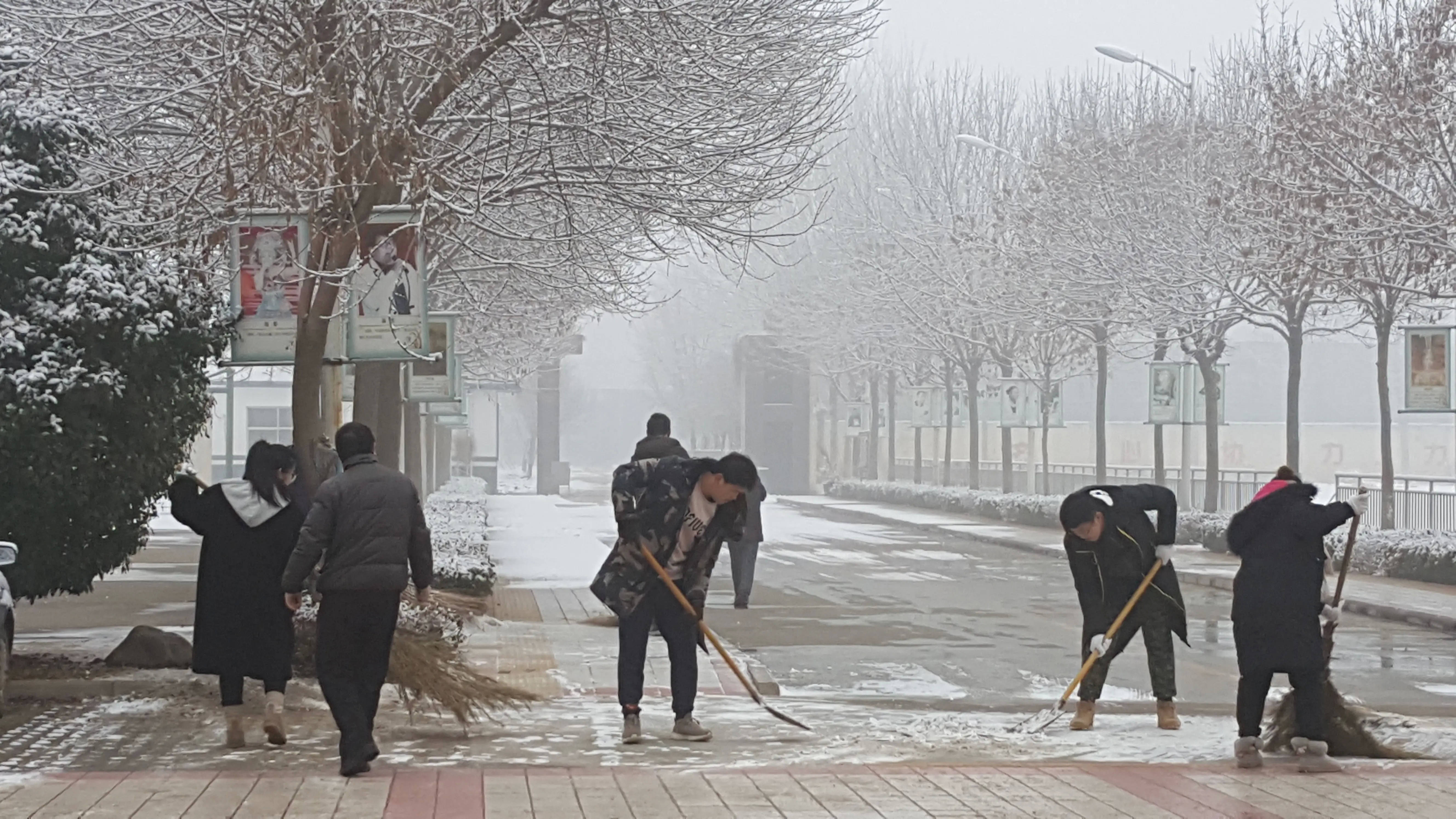 淄博市“自扫门前雪”倡议书