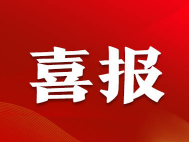 点赞！上班第一天，淄博这些集体和个人被表彰！