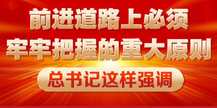 前进道路上必须牢牢把握的重大原则 总书记这样强调