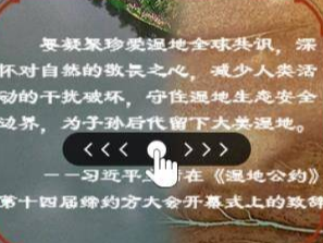 山东省级湿地公园数量居全国首位  “为子孙后代留下大美湿地”!