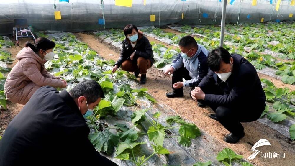 人勤春来早｜山东各地抢抓农时 确保全年农业生产开好头 起好步