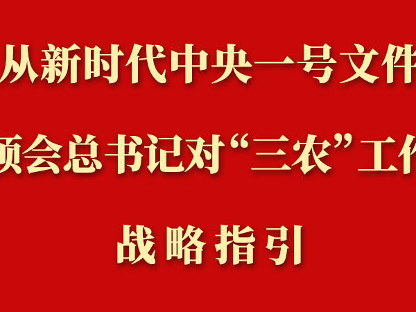 第一观察丨从新时代中央一号文件领会总书记对“三农”工作战略指引