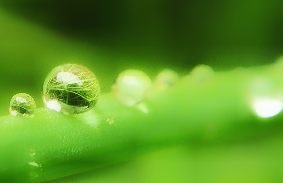 古诗词里的“雨水”,是这样的灵动……