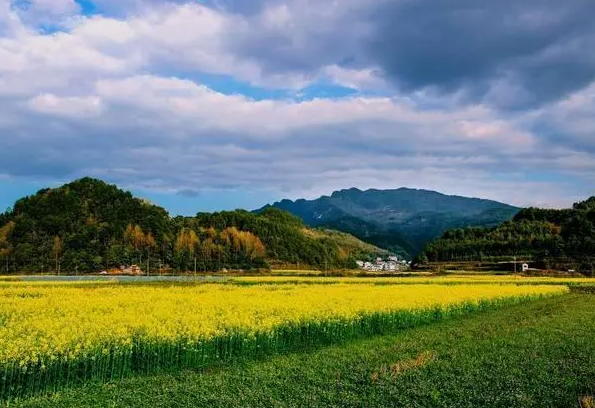 广袤乡村气象新