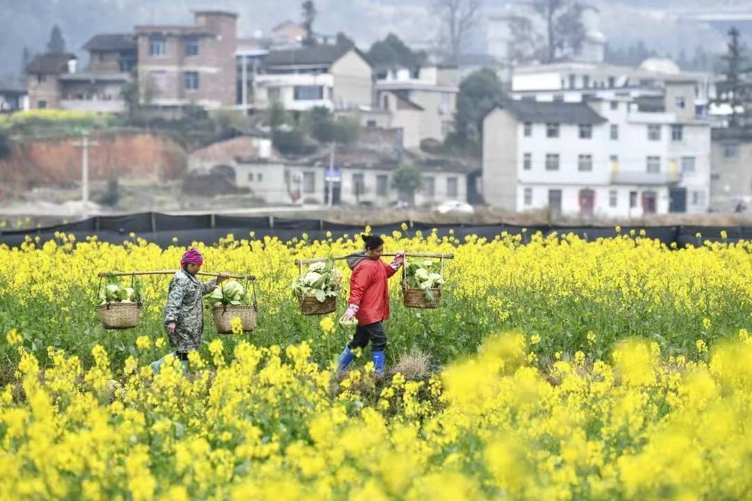 [老鹰表达力]唯有心安，才能自在