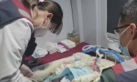 往返3500公里！山东医护团队护送贵州婴儿紧急转院