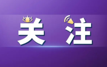 山东省律师协会副会长张巧良代表：良法善治守护公平正义