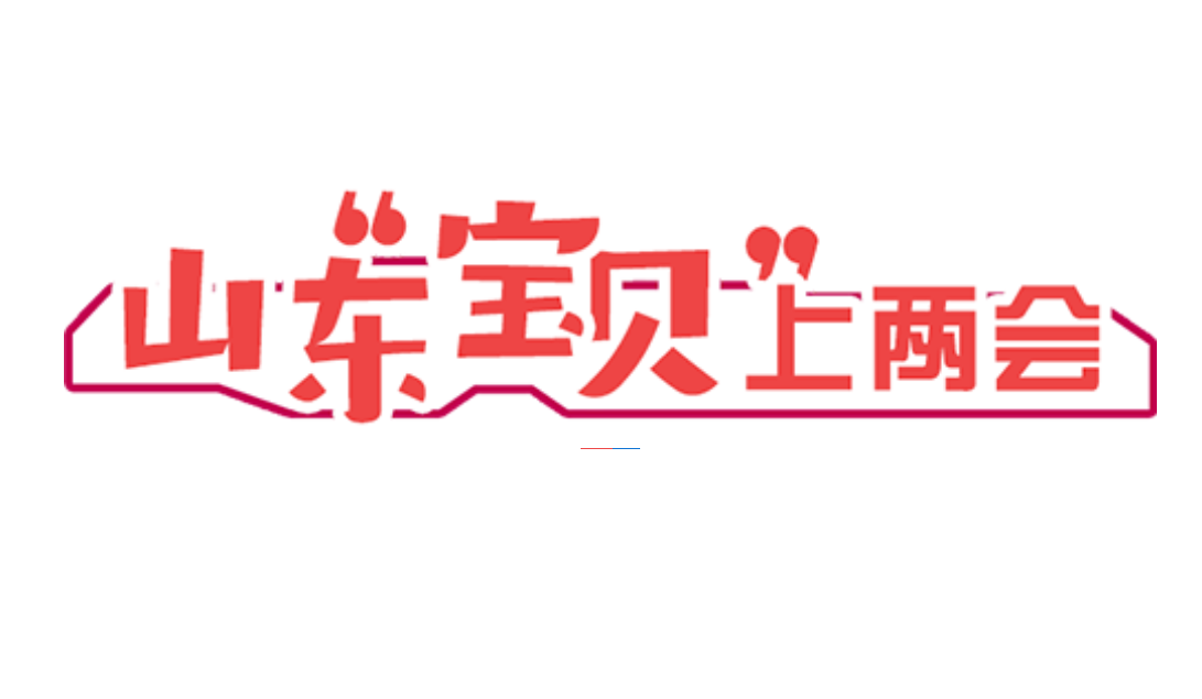 山东“宝贝”上两会，这些“好品”不简单，件件亮眼