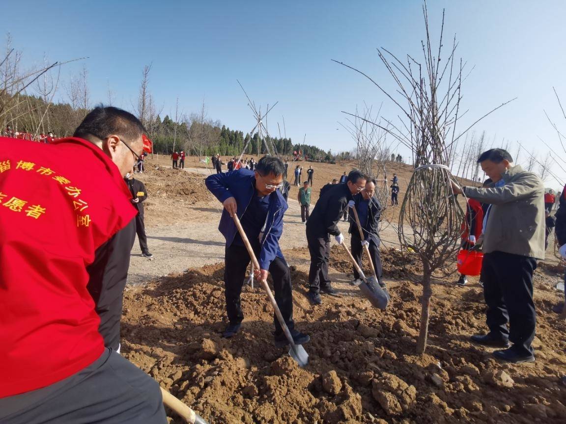 快讯 | 淄博市各大班子领导同志参加义务植树活动