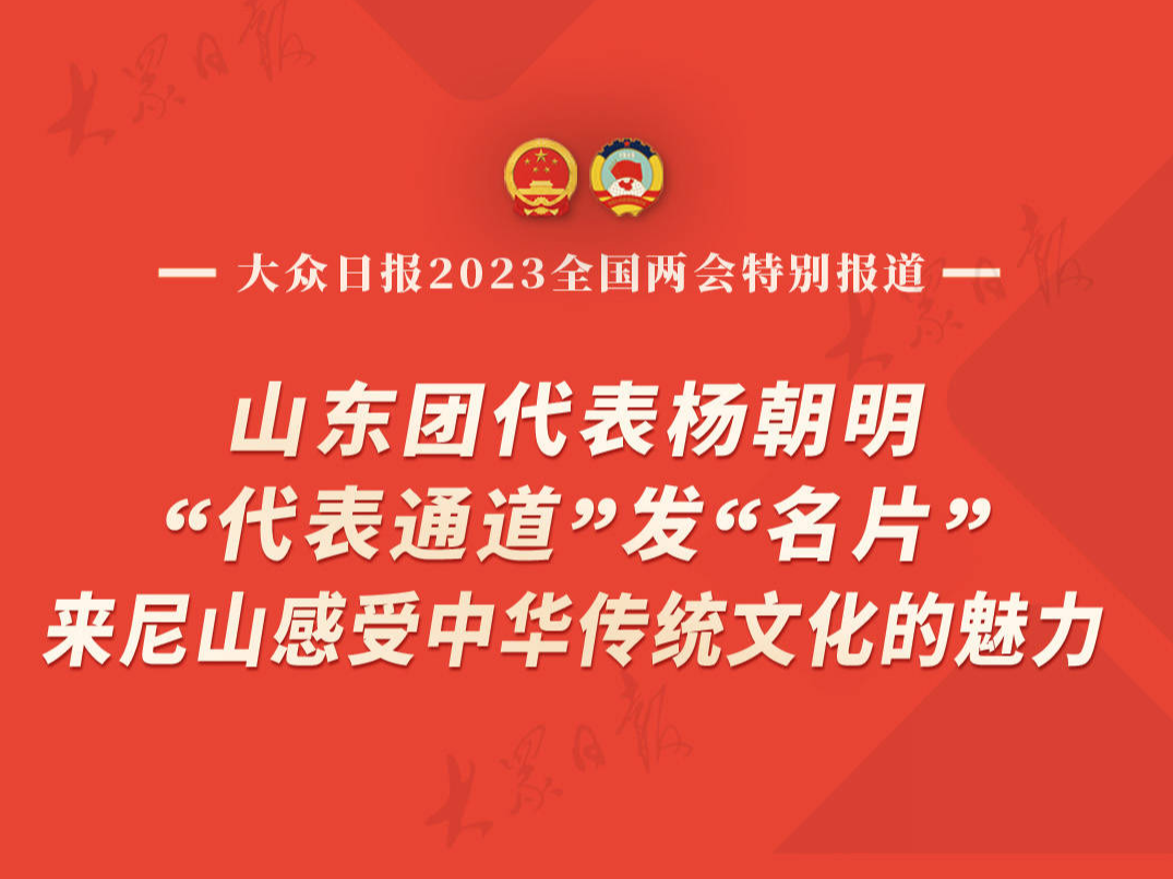 山东团代表杨朝明“代表通道”发“名片”让世界感受中华传统文化的魅力