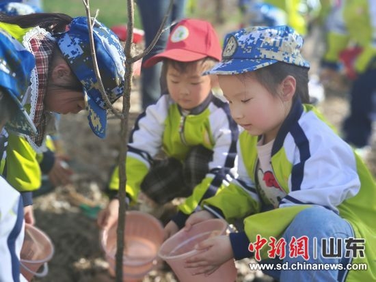 在泰安新泰市，幼儿园的小朋友们加入了植树的队伍。新泰市委宣传部供图