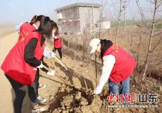 在枣庄台儿庄区邳庄镇，志愿者正在植树。贾萌 摄