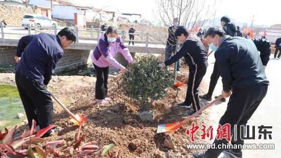 沂南县2023年义务植树活动植树现场。王本强 摄