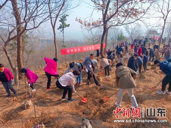 临沭县民众整地、挖坑、栽种，踊跃加入到植树造绿活动中。临沭县委宣传部供图