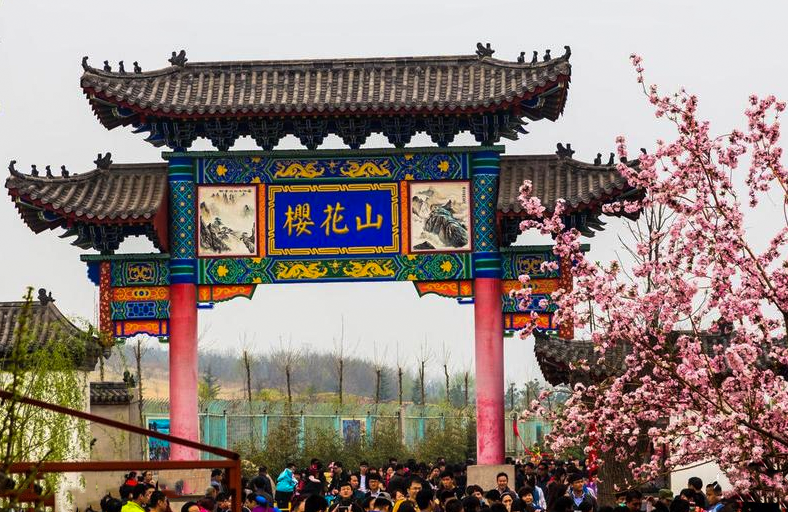 樱花十里国潮风  粉黛万姿迎客来————樱花山第十届樱花节3月18日大幕即开