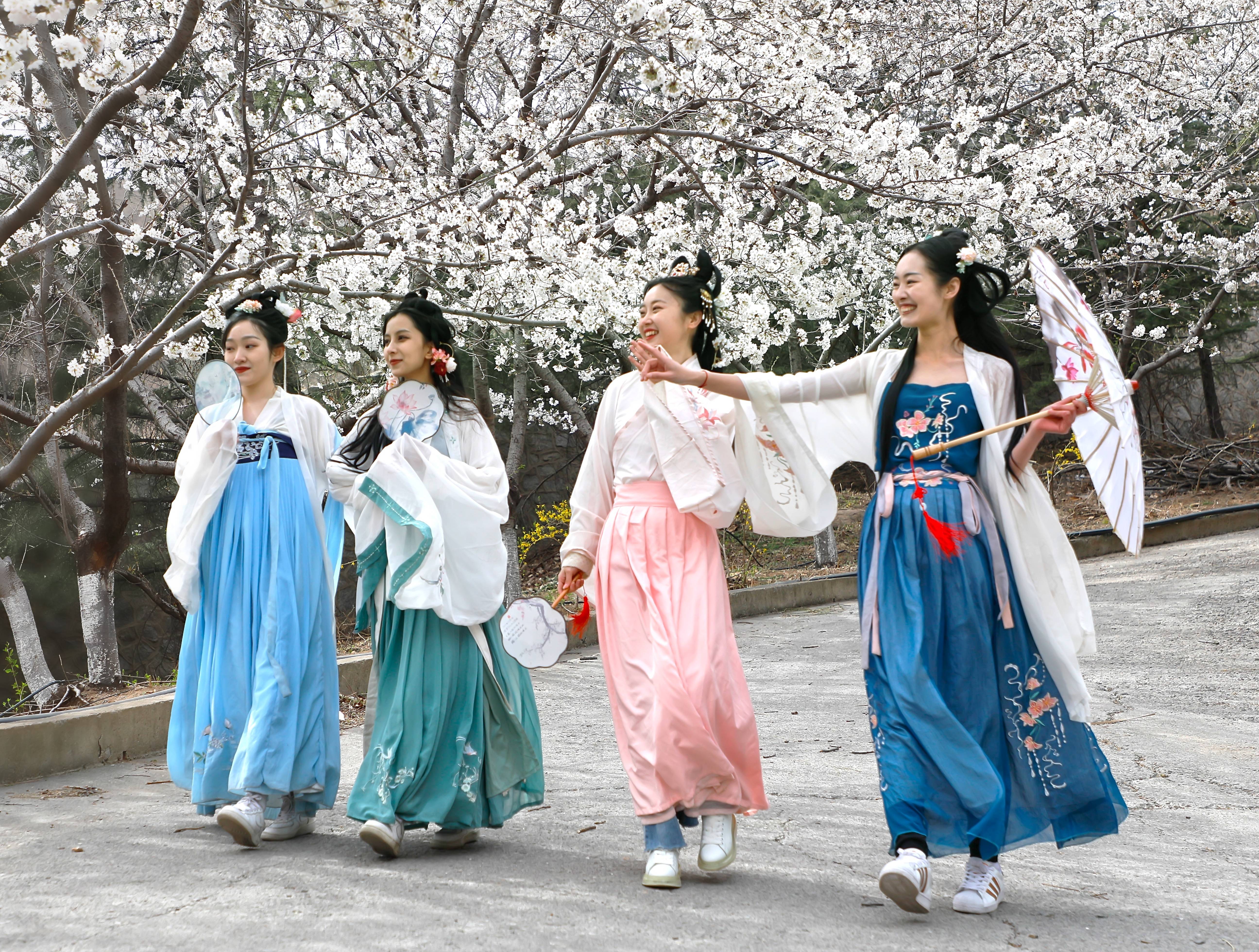 十里樱花国潮风——2023樱花山第十届樱花节掠影