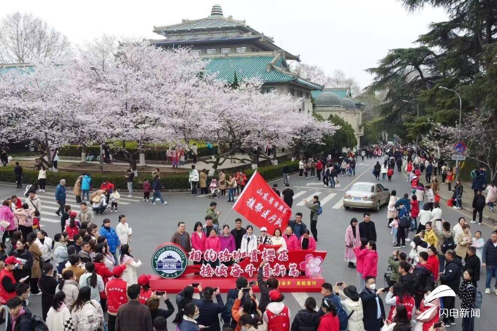 重返英雄城三年后他们相约武大赏樱花