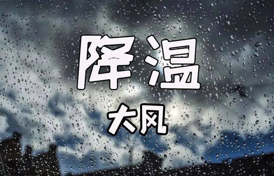 降雨+大风！淄博降温幅度达6～8℃！