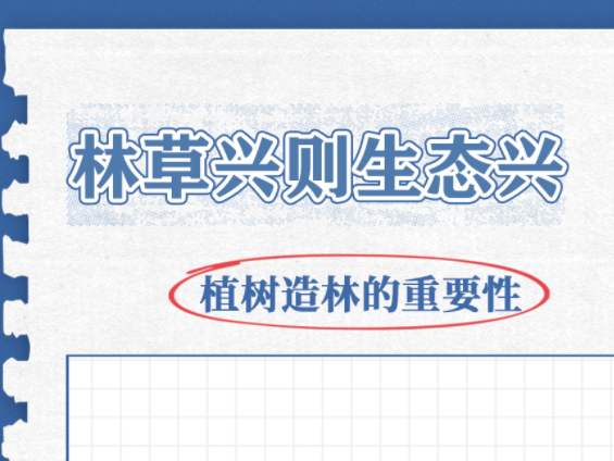 学习卡丨这件事，总书记为何年年坚持？