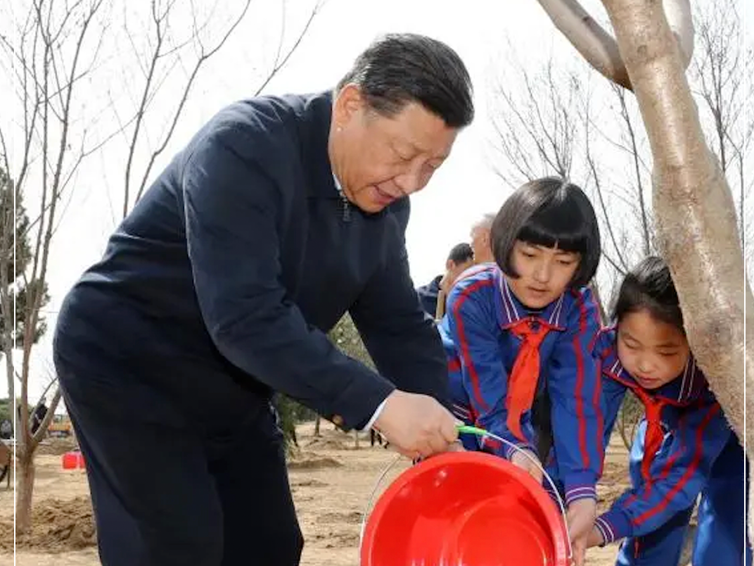 连续11年参加首都义务植树活动，总书记殷切寄语