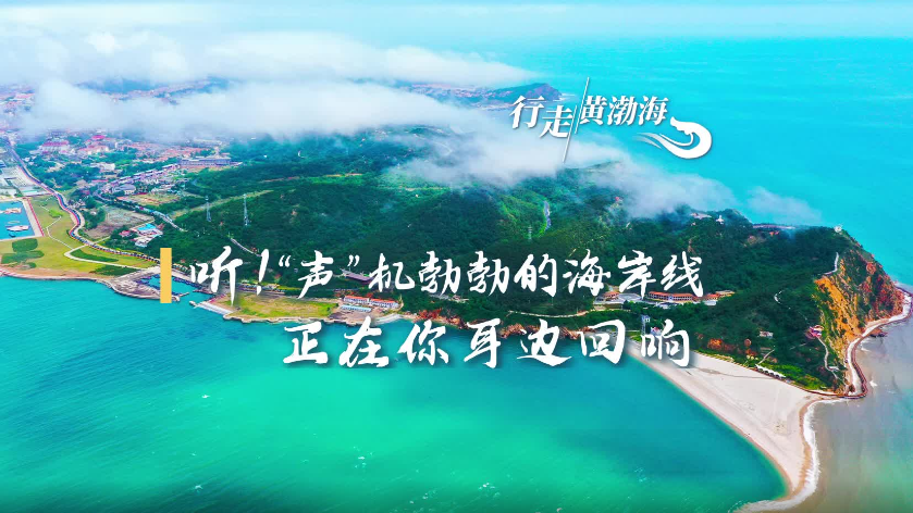 行走黄渤海｜听！“声”机勃勃的海岸线，正在你耳边回响