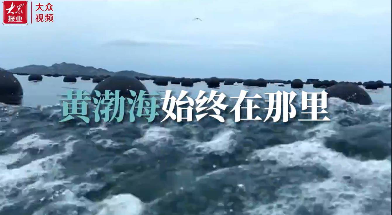 行走黄渤海｜在山东，遇见海鲜的N种打开方式