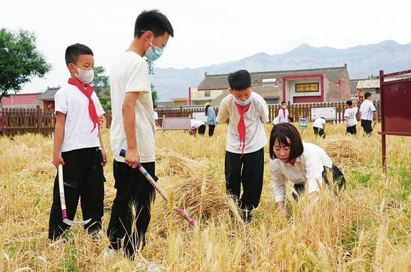 率先发布！淄博市印发《中小学学校劳动教育指导清单和社会劳动教育指导清单》