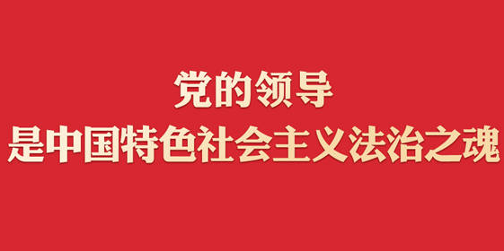 学习习近平法治思想｜坚持党对全面依法治国的领导