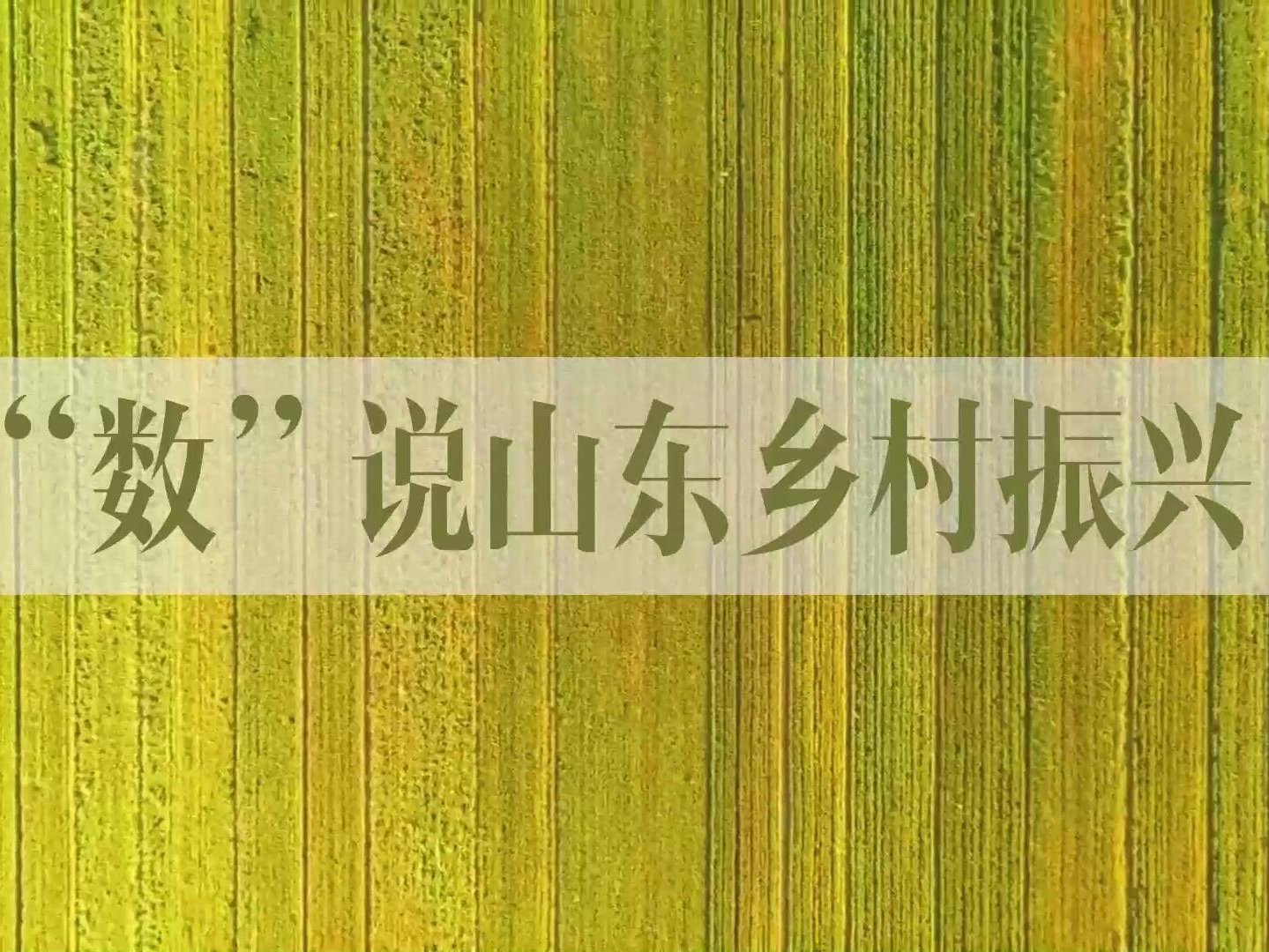 “数”说山东丨看乡村振兴齐鲁样板亮眼成绩单