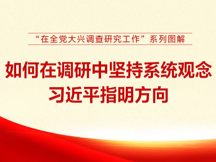 “在全党大兴调查研究工作”系列图解 如何在调研中坚持系统观念 习近平指明方向