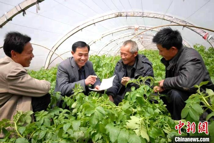 全国劳动模范张建锋在田间向村民普及农技知识，帮助他们解疑释惑。　薛城宣传部 供图