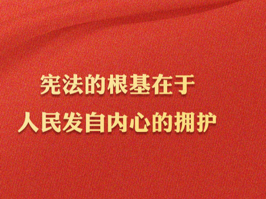 学法时习之|学习习近平法治思想｜坚持依宪治国、依宪执政