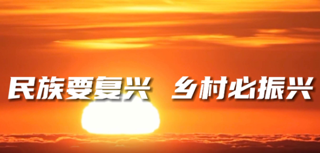 打造乡村振兴齐鲁样板丨全力书写新时代现代化强省建设的“三农”篇章！