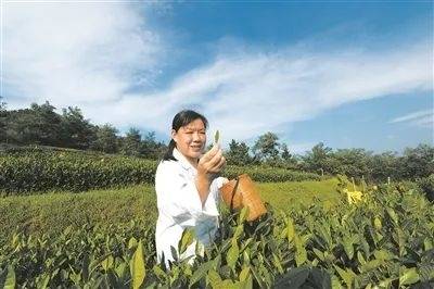 科技日报头版头条点赞我院乡村振兴科技合伙人模式