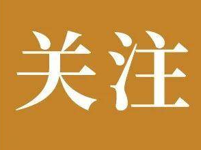 首学“先人一步”——淄博市企业界热议“对标合肥”