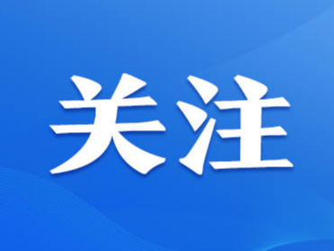 马晓磊到淄川区调研经济运行和项目建设工作