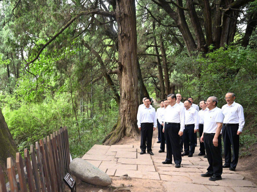 习近平在四川考察调研