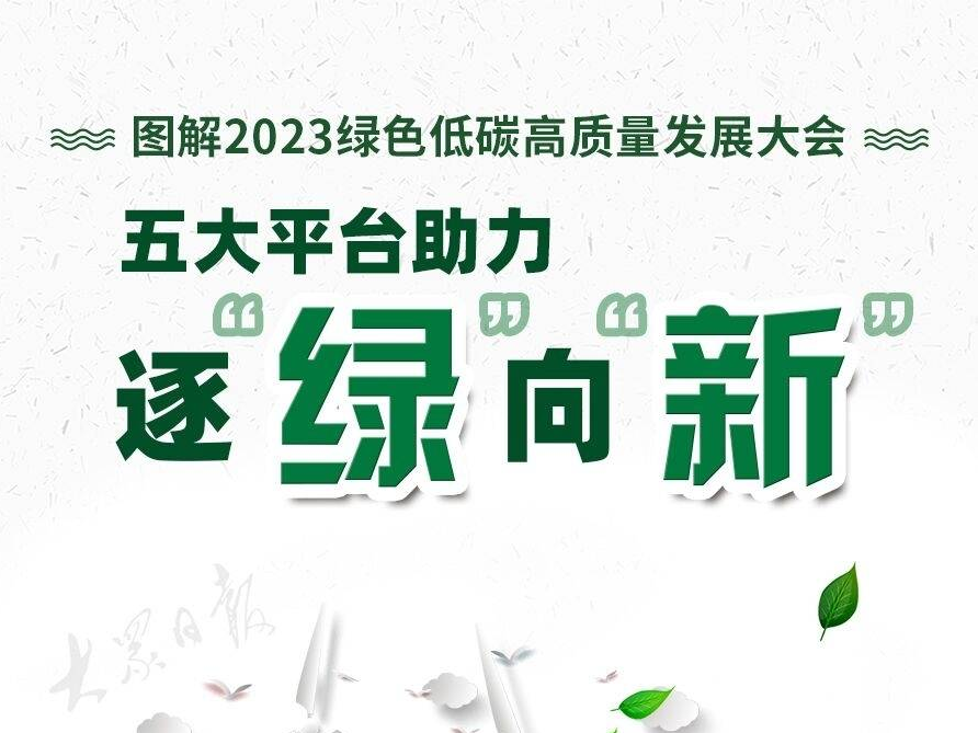 图解丨山东为这场国际性盛会搭建了五大平台！