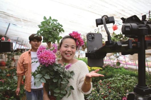 临沂市郯城县郯城街道汉唐花卉基地，李丽梅的直播间里，她正在推销盆栽的大丽花。后面是23岁的直播助理张瑞，李丽梅带他一起做直播带货，让他熟悉技巧和流程。