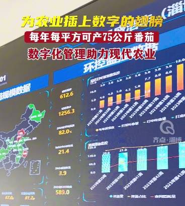 【为农业插上数字的翅膀】每年每平方可产75公斤番茄 数字化管理助力现代农业