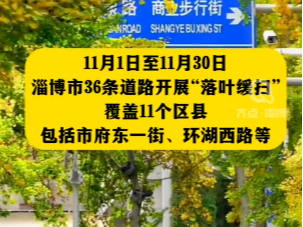 【短视频】淄博36条道路实行“落叶缓扫” 为市民留住淄博的秋