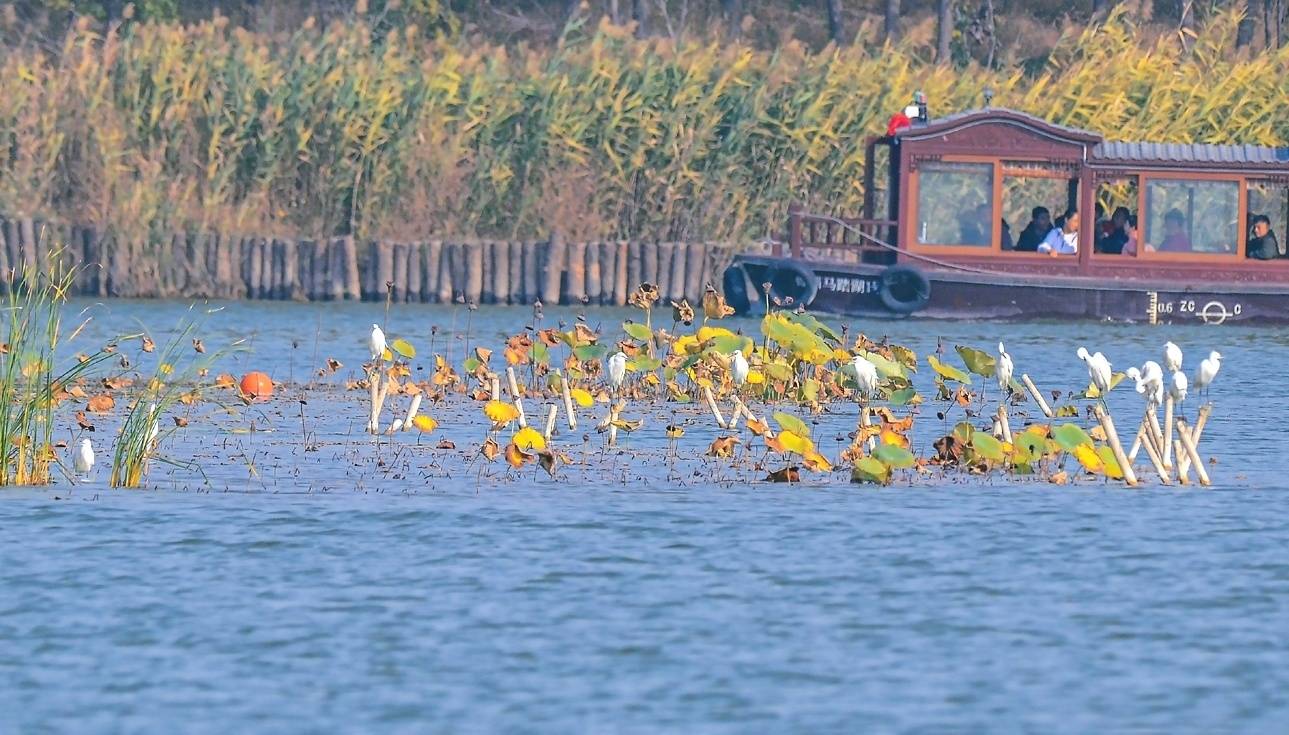 淄博实施全流域综合治理 打造美丽河湖