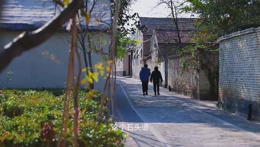 淄博市临淄区金岭回族镇：修复百年石路 留住儿时乡情