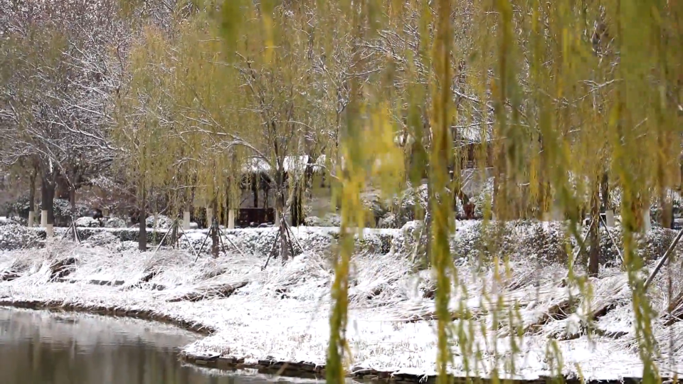 本轮降雪今日结束  明早气温会更低