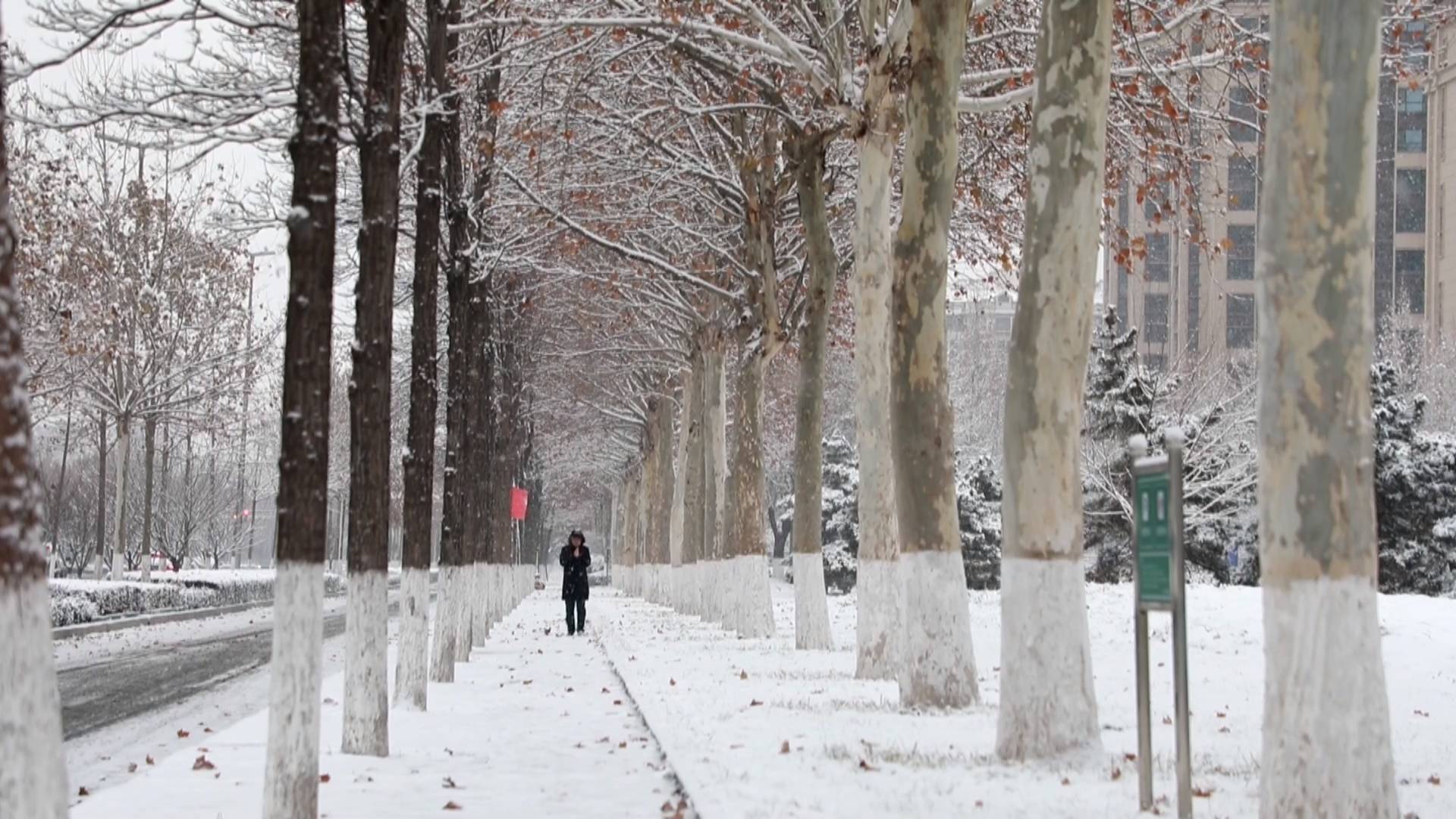 我市将迎来寒潮雨雪和持续低温天气