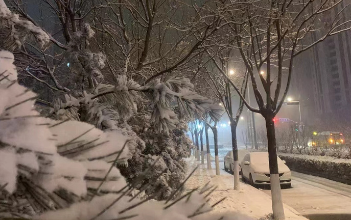 雪到了！12月11日，济南市中小学幼儿园转为“线上教学”