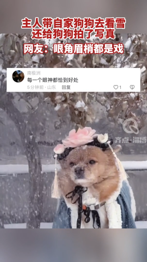 【视频】主人带自家狗狗去看雪 还给狗狗拍了写真 网友：眼角眉梢都是戏