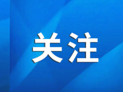 拼出个未来！淄博网络名人重大项目一线行倒计时1天