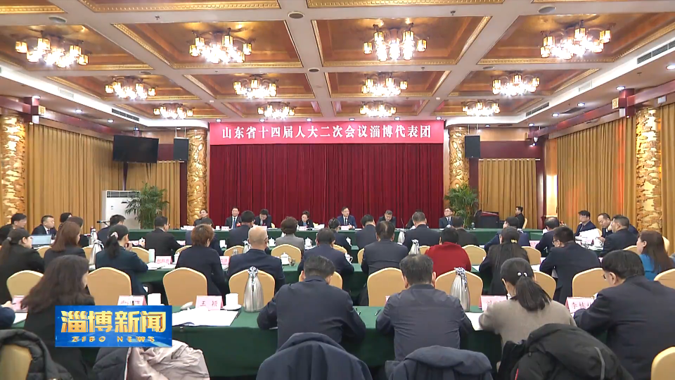 【淄博新闻】参加省十四届人大二次会议的淄博代表审议政府工作报告 马晓磊在发言时强调 咬定发展不动摇 提效争先抓落实 为新时代社会主义现代化强省建设作出更多淄博贡献